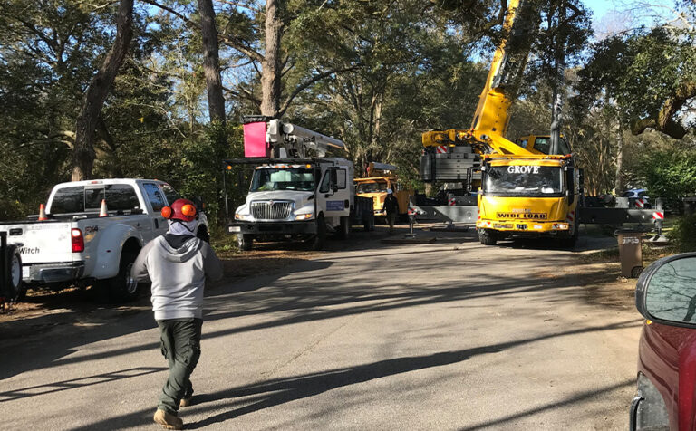 Tree Pruning and Removal | Charleston Tree Service