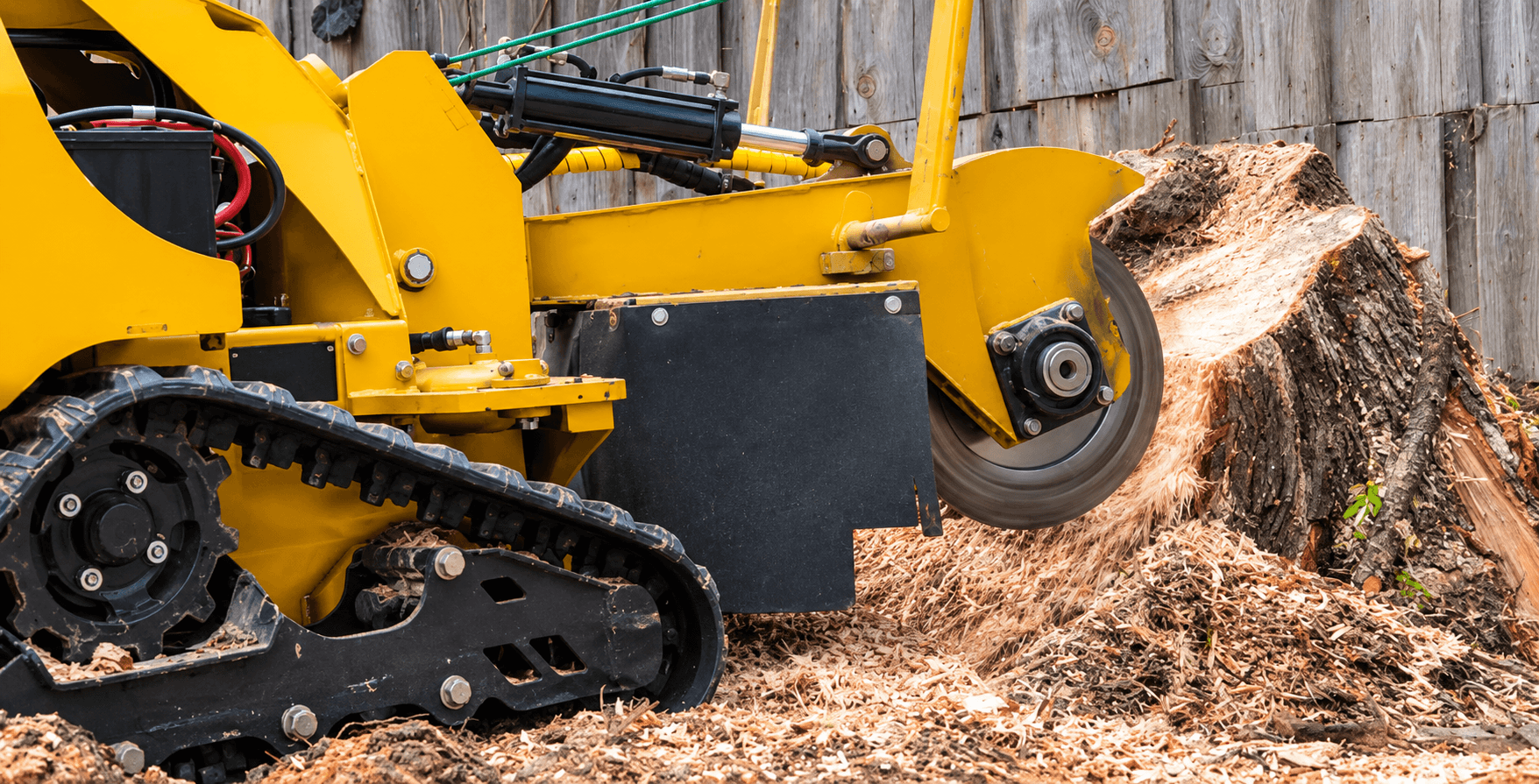 Stump grinding machine removing a tree stump