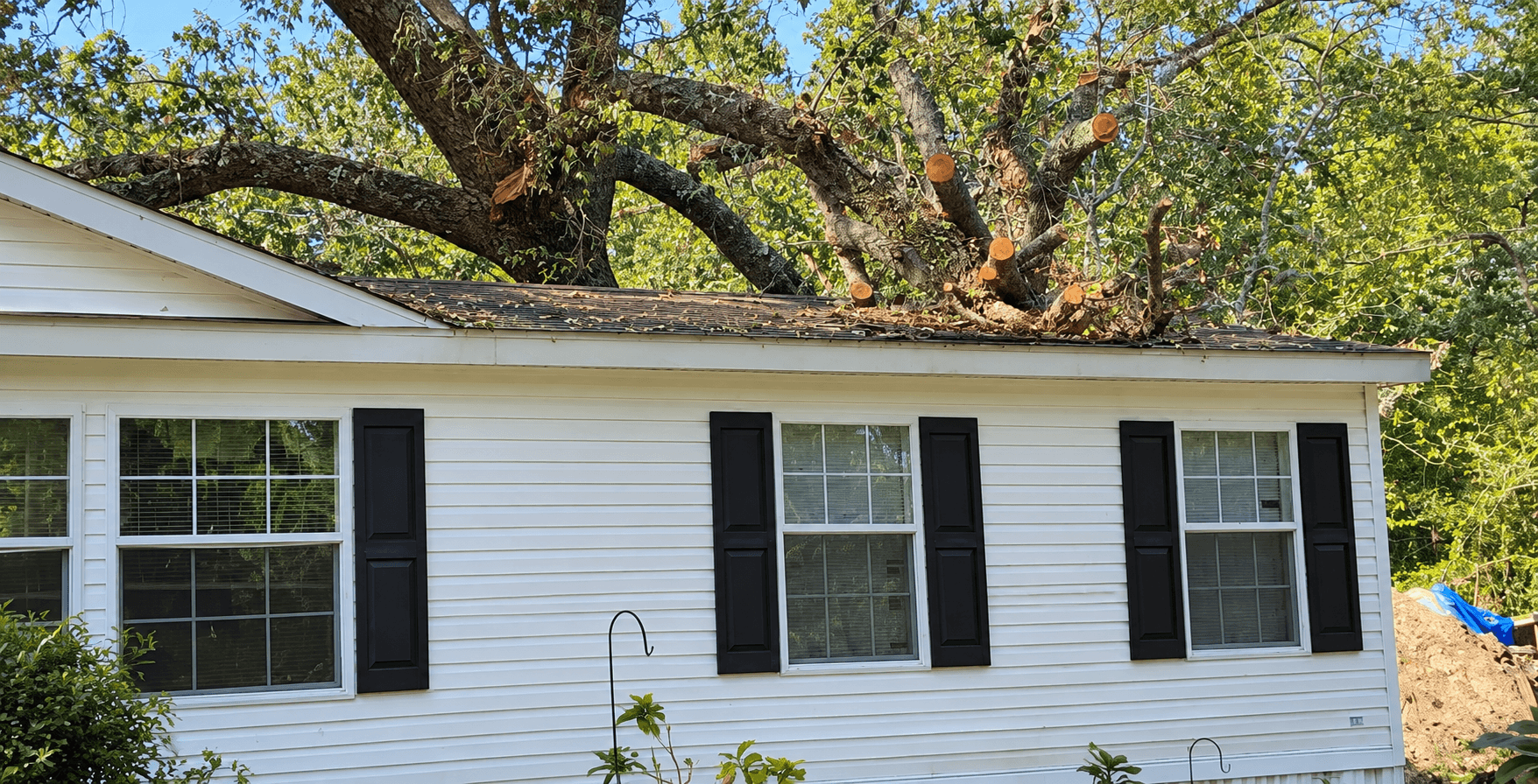 Tree branches extending over a residential house